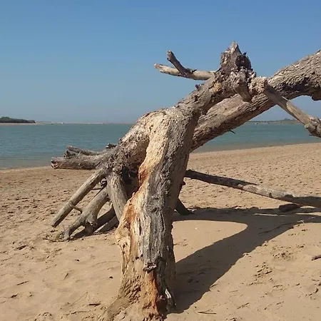 100 M From The Beach!
